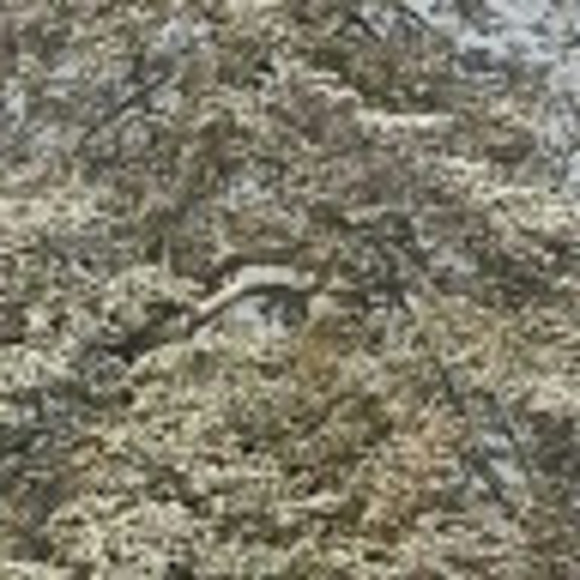 Meet your Posher, Paula - Picture 1 of 1